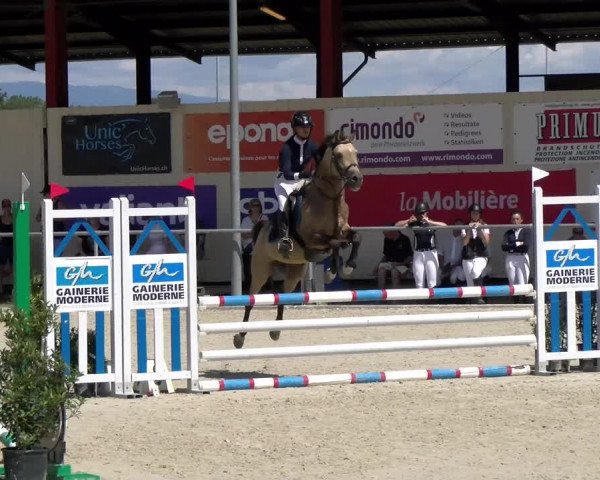 Reitturnier Dompierre 2022
