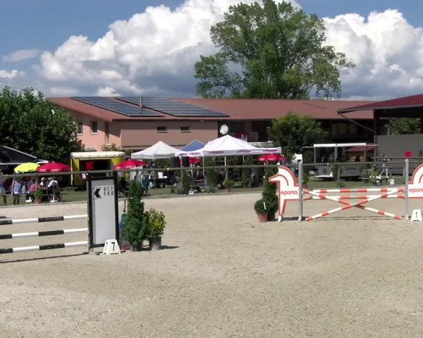 Reitturnier Dompierre 2022