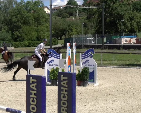 Reitturnier Dompierre 2022