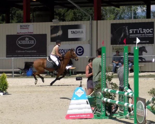 Reitturnier Dompierre 2022