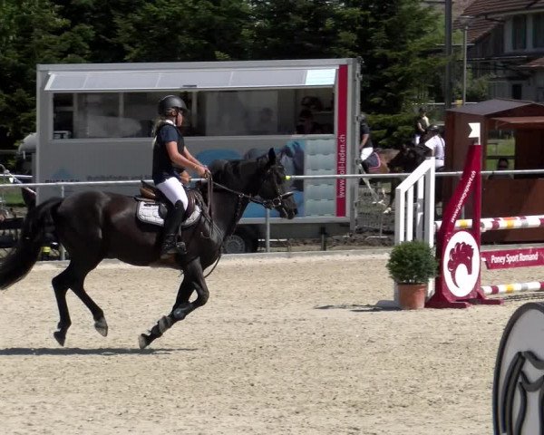 Reitturnier Dompierre 2022