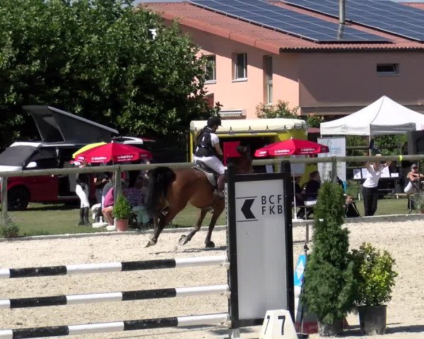 Reitturnier Dompierre 2022
