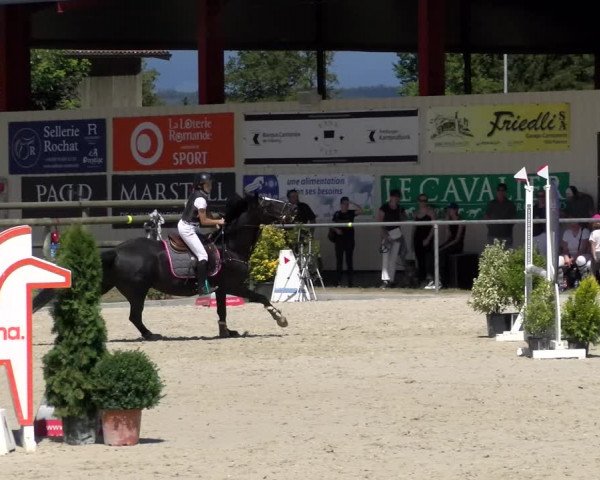 Reitturnier Dompierre 2022