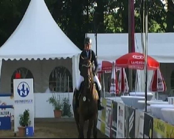 jumper Topperino van Driene (KWPN (Royal Dutch Sporthorse), 2000, from Optimist)
