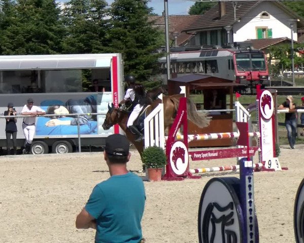 Reitturnier Dompierre 2022