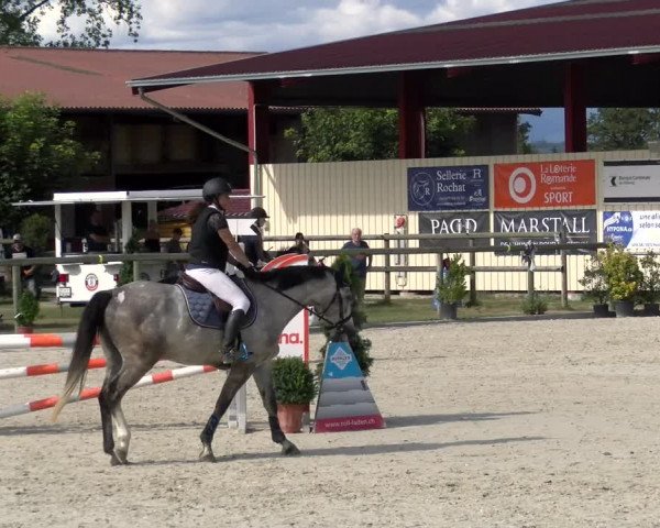 Reitturnier Dompierre 2022