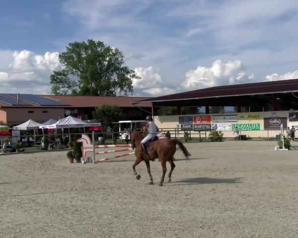 Reitturnier Dompierre 2022