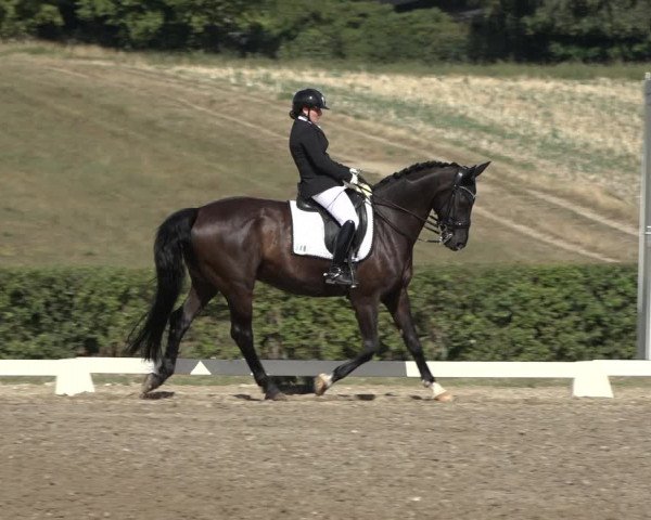 Heinsberg Classics 2022