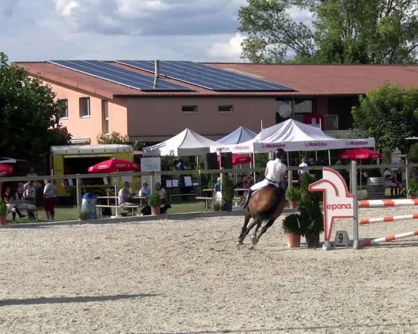 Reitturnier Dompierre 2022