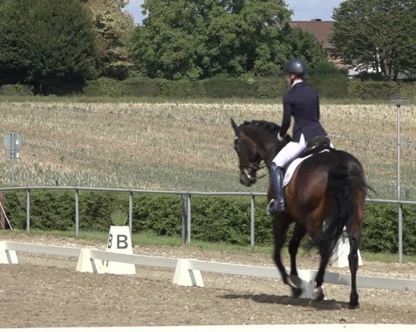 Heinsberg Classics 2022