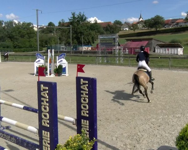 Reitturnier Dompierre 2022