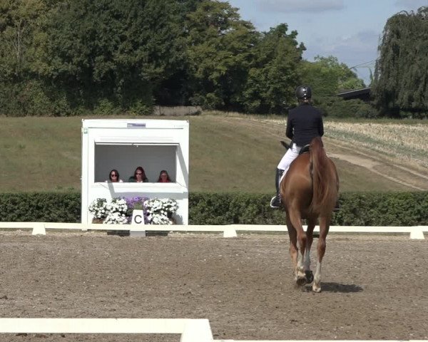 Heinsberg Classics 2022