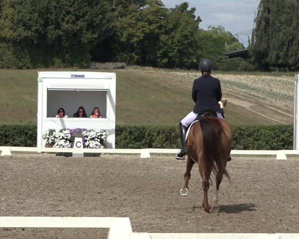 Heinsberg Classics 2022