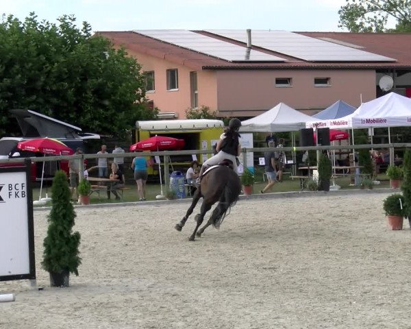 Reitturnier Dompierre 2022