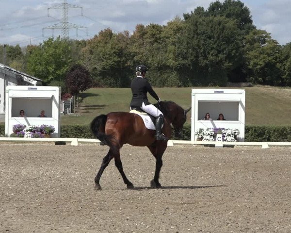 Heinsberg Classics 2022
