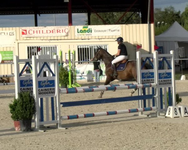 Reitturnier Dompierre 2022