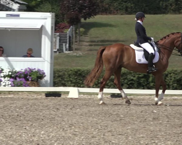 Heinsberg Classics 2022