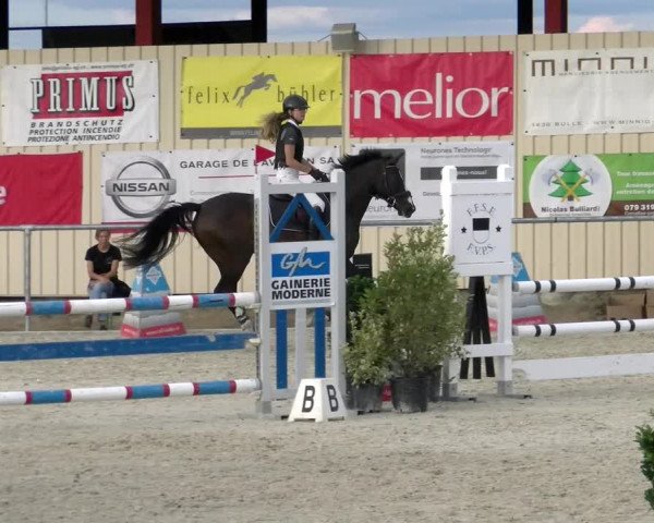 Reitturnier Dompierre 2022