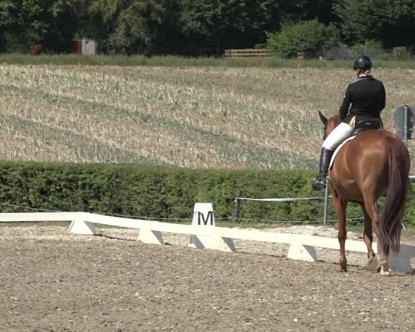 Heinsberg Classics 2022
