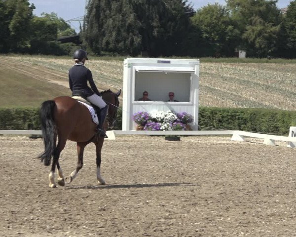 Heinsberg Classics 2022