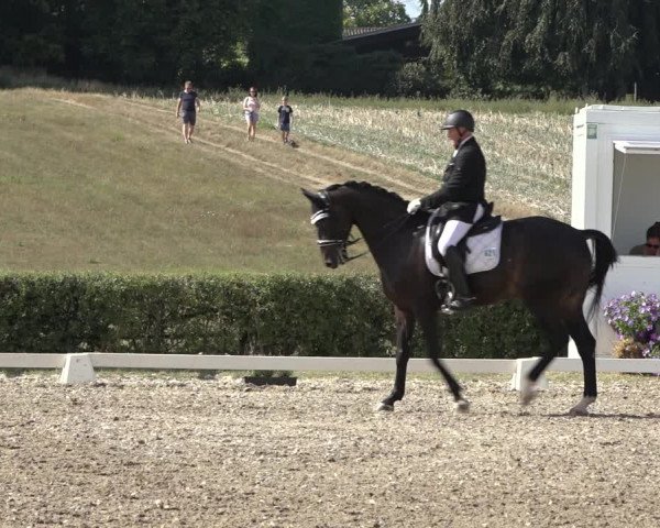 Heinsberg Classics 2022