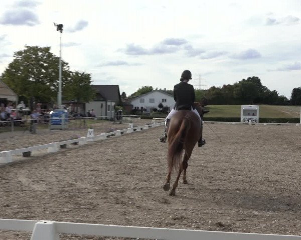 Heinsberg Classics 2022