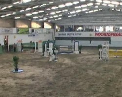 dressage horse Roschi (Holsteiner, 2004)