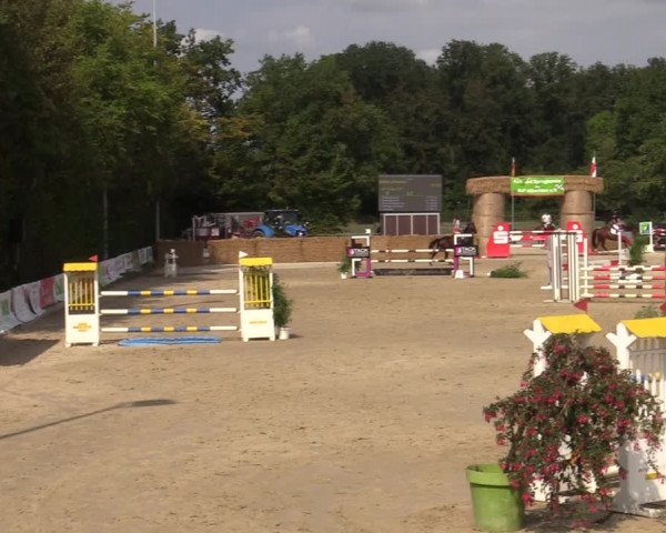 Reitturnier Münster-Albachten 2022