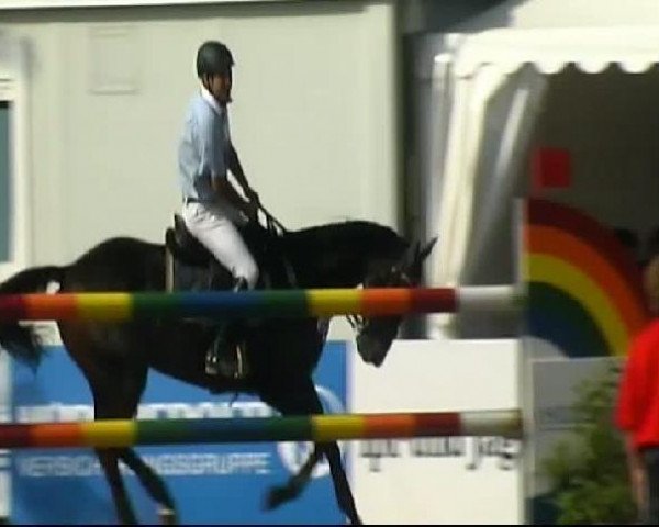 jumper Lunatic 24 (Oldenburg, 2001, from Landor S)
