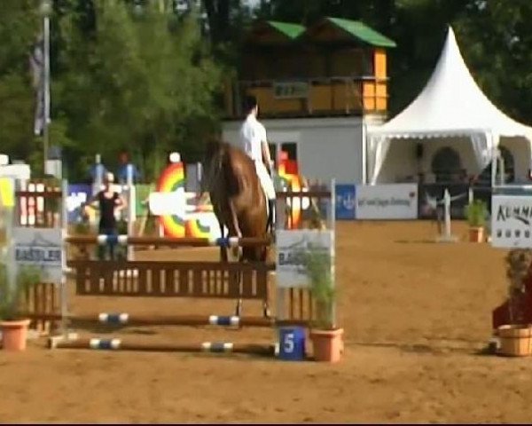 jumper Hajandor U (Württemberger, 2005, from Herzruf)