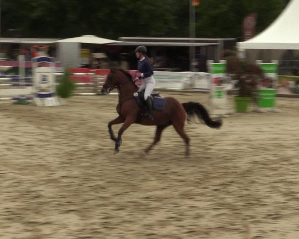 Reitturnier Münster-Albachten 2022