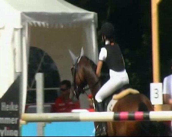 Springhest Candy Lee (Württemberger, 2004, fra Candillo Z) - HORSE classics Killingen 20.08.2011
13 Stilspringwettbewerb Kl. E
