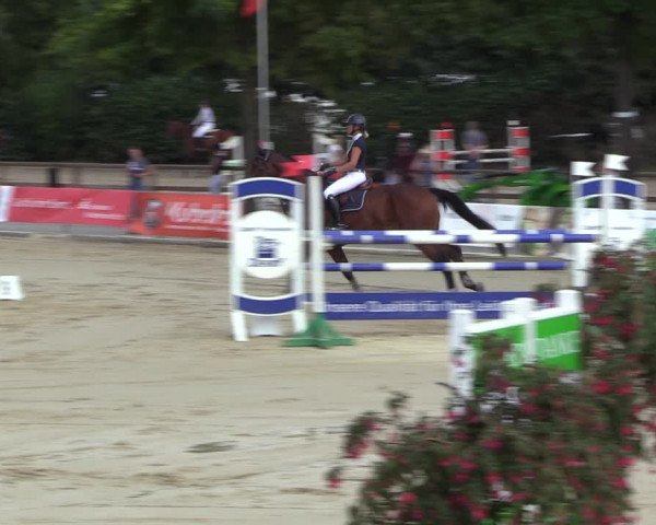 Reitturnier Münster-Albachten 2022