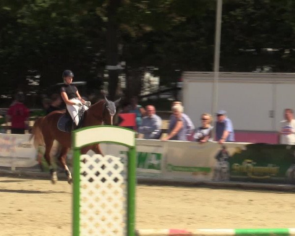 Reitturnier Münster-Albachten 2022