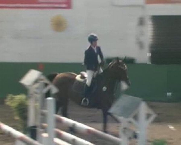 broodmare Caretinija (Holsteiner, 2001, from Caretino) broodmare Caretinija (Holsteiner, 2001, from Caretino)
