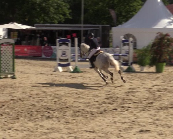 Reitturnier Münster-Albachten 2022