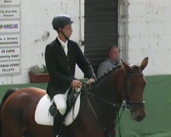 Springpferd Coletta 25 (Holsteiner, 2006, von Con Air)