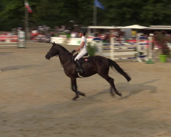 Reitturnier Münster-Albachten 2022