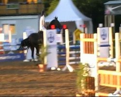 Springpferd Ribana (Zweibrücker, 2005, von Rosenzauberer)