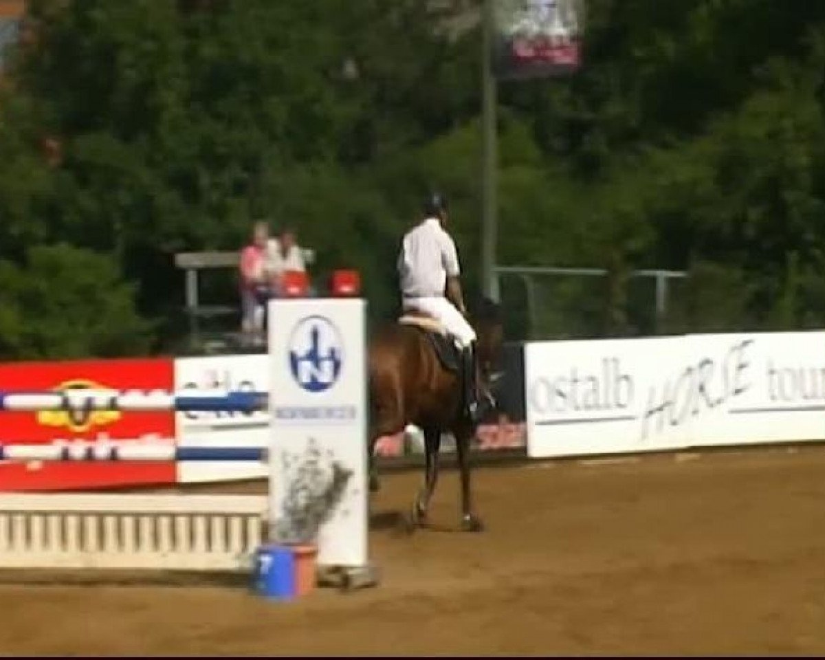 Cavallo da salto Conrad 70 (Zangersheide, 2003, di Conan Z) - HORSE classics Killingen 19.08.2011
07./3 Punktespringprfg. Kl. L m. Joker
