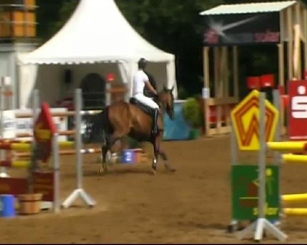 Fattrice Coco Chanel 134 (Württemberger, 2004, di Candillo Z)