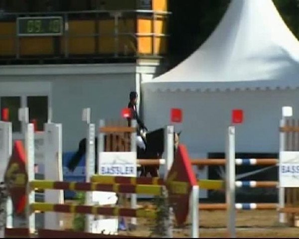 jumper Wonderboy 23 (Bavarian, 2006, from Waldgraf)