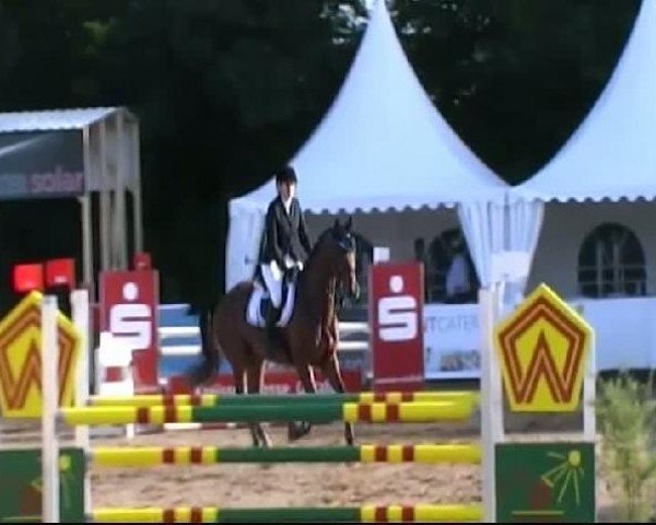 jumper Conner 41 (Saxony-Anhaltiner, 2005, from Corton)