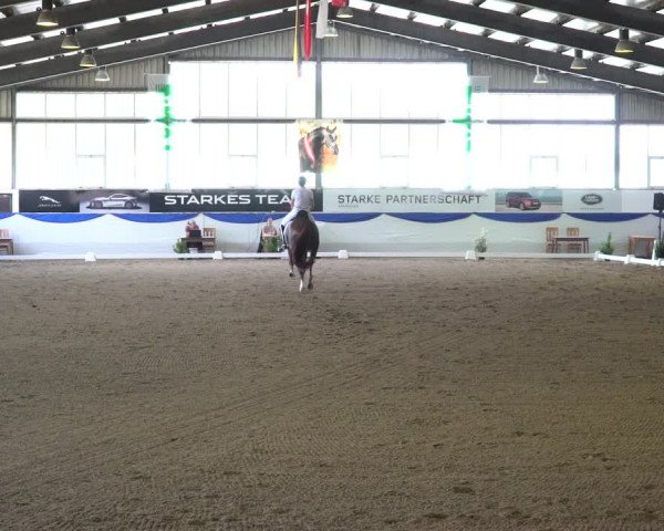 Reitturnier Münster-Albachten 2022