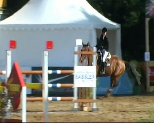 jumper Alessina (Württemberger, 2005, from Acalypso)