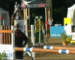 jumper Cortinio L (German Sport Horse, 2003, from Candillo Z)