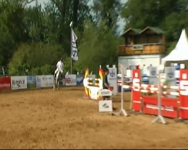 broodmare Crossing Jordan (Hessian Warmblood, 2003, from Capilano)