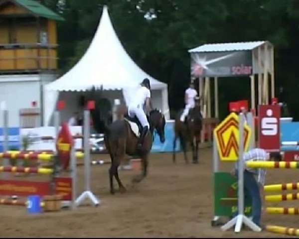 jumper Let's Fetz HW (Württemberger, 2007, from Lancerto)