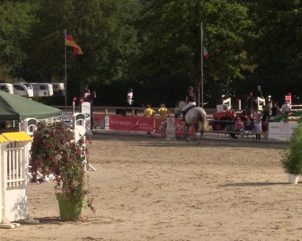 Reitturnier Münster-Albachten 2022