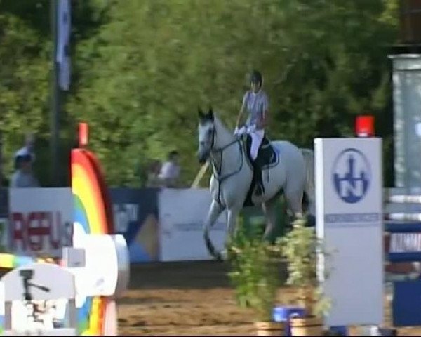 Springpferd Chahit (Württemberger, 2000, von Campostello)